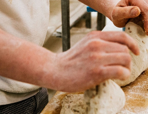 La boulangerie bio De Trog, une histoire de passion et d’engagement