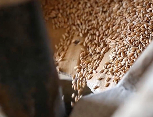 La boulangerie n’est pas une science exacte, notre levain a déjà 40 ans !